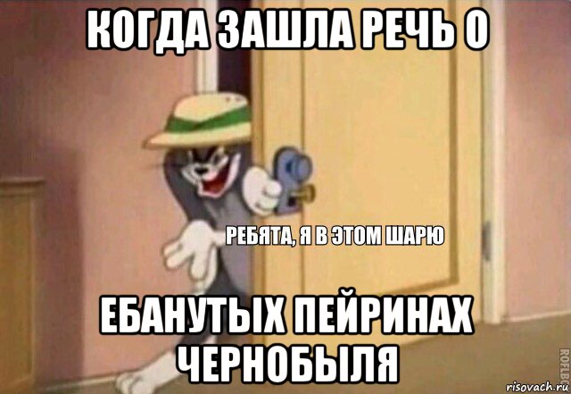 когда зашла речь о ебанутых пейринах чернобыля, Мем    Ребята я в этом шарю