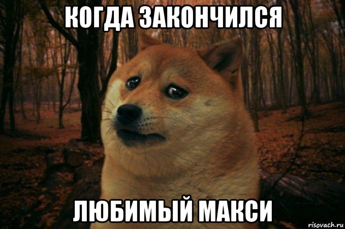 когда закончился любимый макси, Мем SAD DOGE