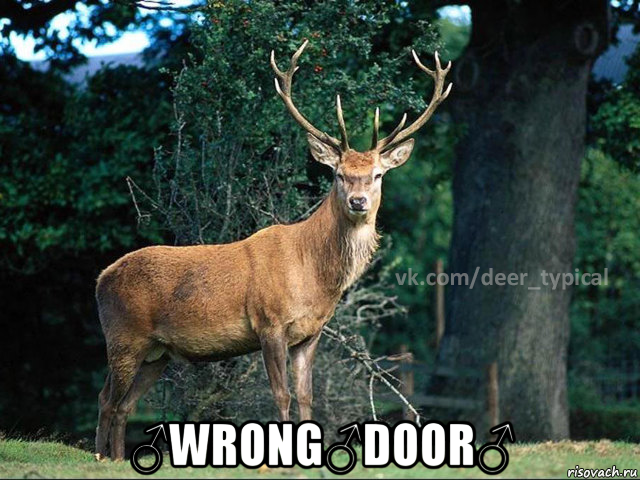  ♂wrong♂door♂