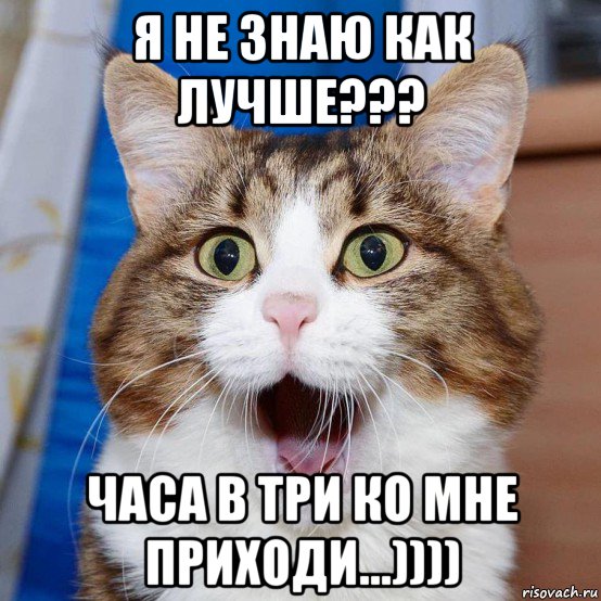 я не знаю как лучше??? часа в три ко мне приходи...)))), Мем Шокированный кот