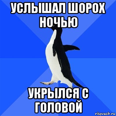 услышал шорох ночью укрылся с головой, Мем  Социально-неуклюжий пингвин