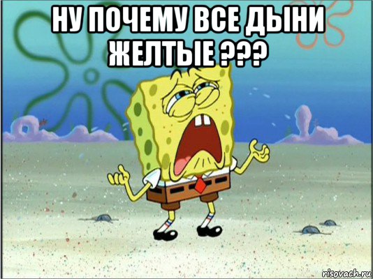 ну почему все дыни желтые ??? , Мем Спанч Боб плачет