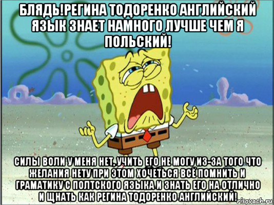 блядь!регина тодоренко английский язык знает намного лучше чем я польский! силы воли у меня нет, учить его не могу из-за того что желания нету при этом хочеться всё помнить и граматику с полтского языка и знать его на отлично и щнать как регина тодоренко английский!, Мем Спанч Боб плачет