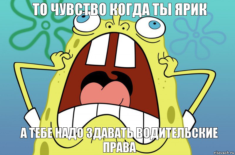 то чувство когда ты ярик а тебе надо здавать водительские права, Комикс  Спанч боб