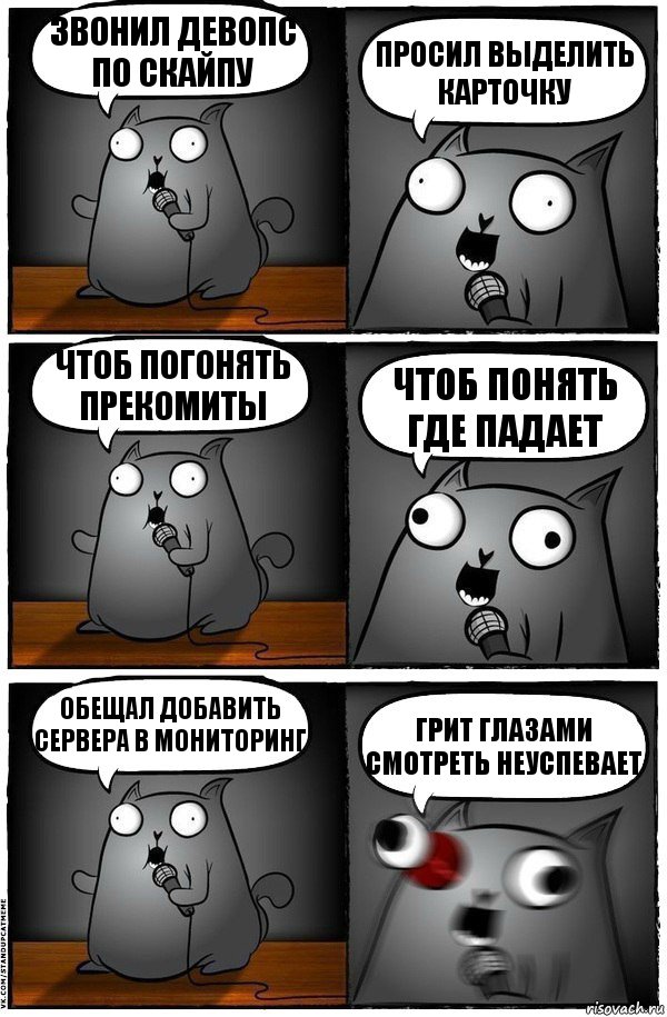 Звонил девопс по скайпу Просил выделить карточку Чтоб погонять прекомиты Чтоб понять где падает Обещал добавить сервера в мониторинг Грит глазами смотреть неуспевает, Комикс  Стендап-кот