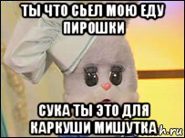 ты что сьел мою еду пирошки сука ты это для каркуши мишутка, Мем степашка