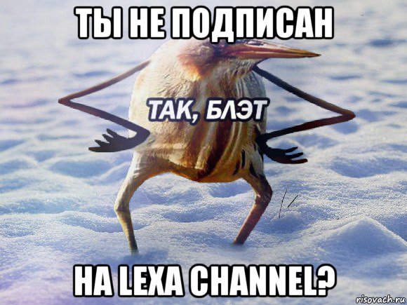 ты не подписан на lexa channel?, Мем  Так блэт птица с руками