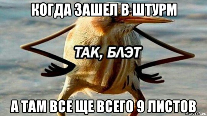 когда зашел в штурм а там все ще всего 9 листов, Мем  Так блэт