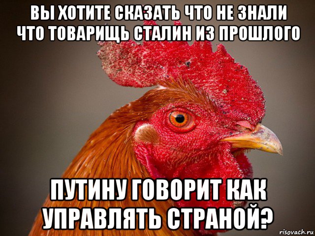 вы хотите сказать что не знали что товарищь сталин из прошлого путину говорит как управлять страной?