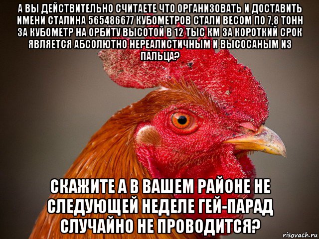 а вы действительно считаете что организовать и доставить имени сталина 565486677 кубометров стали весом по 7,8 тонн за кубометр на орбиту высотой в 12 тыс км за короткий срок является абсолютно нереалистичным и высосаным из пальца? скажите а в вашем районе не следующей неделе гей-парад случайно не проводится?, Мем Типичный петух-совок