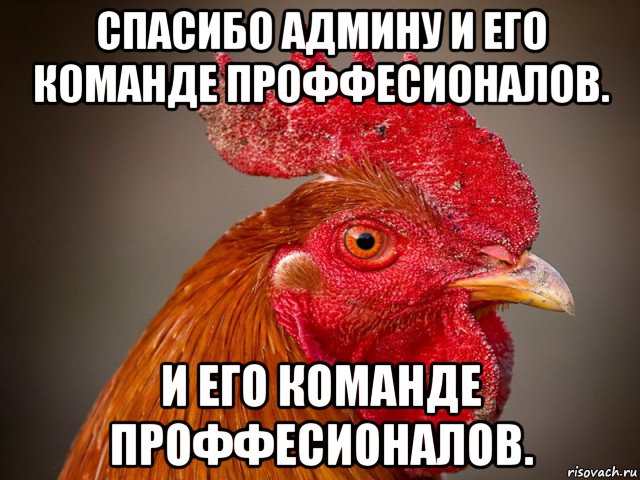 спасибо админу и его команде проффесионалов. и его команде проффесионалов., Мем Типичный петух-совок