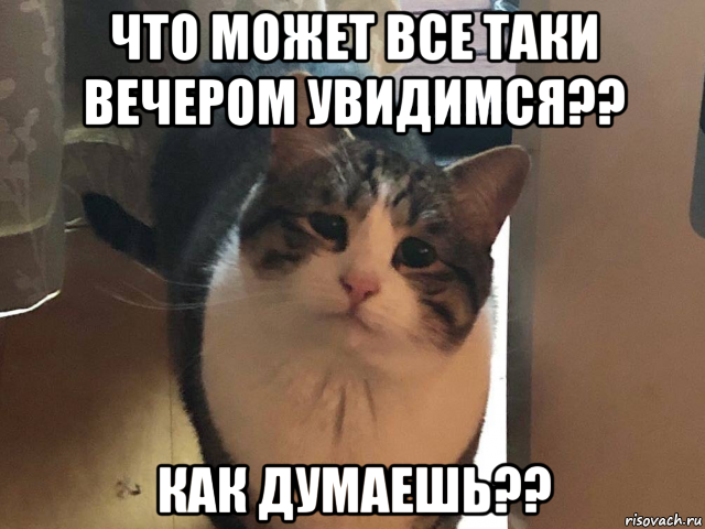 что может все таки вечером увидимся?? как думаешь??