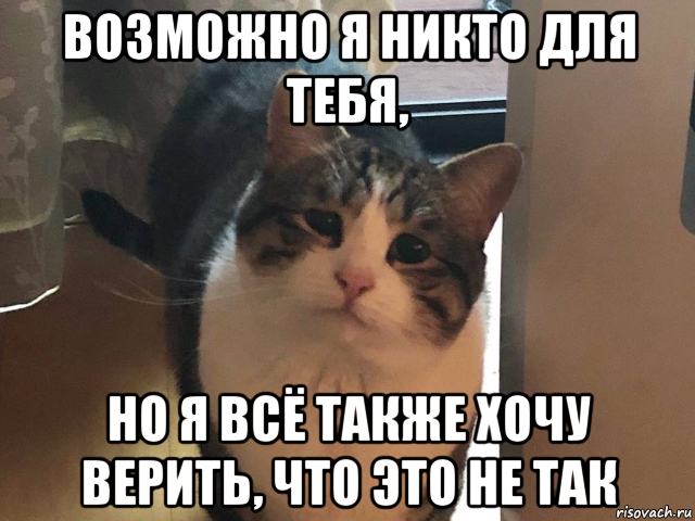 возможно я никто для тебя, но я всё также хочу верить, что это не так, Мем Ты только приезжай хоть иногда