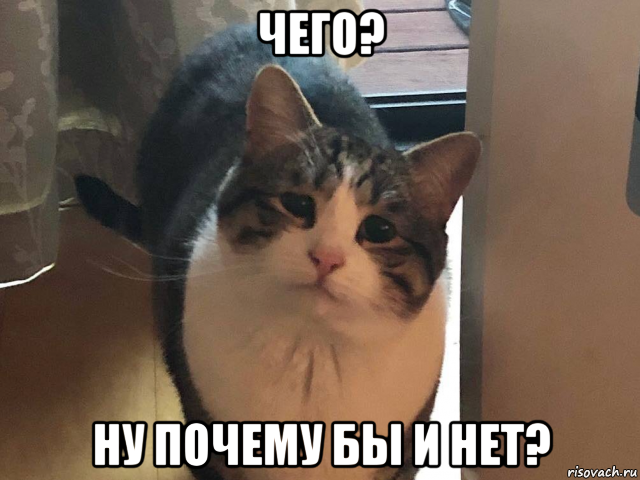 чего? ну почему бы и нет?