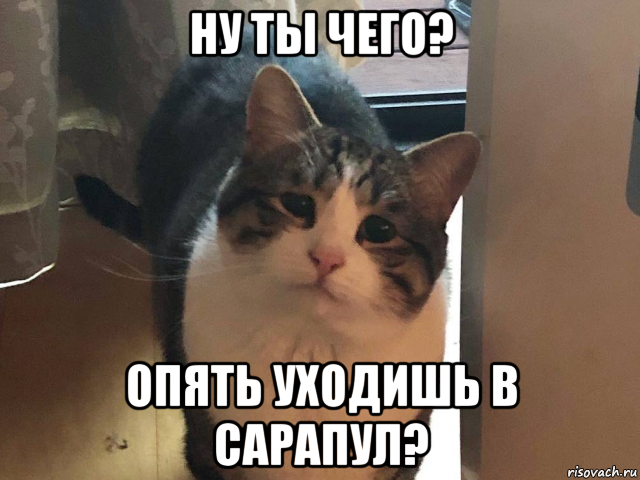 ну ты чего? опять уходишь в сарапул?