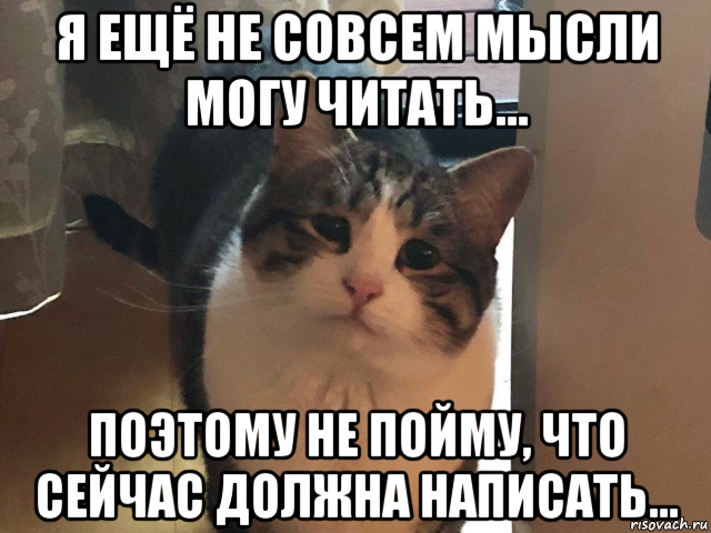 я ещё не совсем мысли могу читать... поэтому не пойму, что сейчас должна написать..., Мем Ты только приезжай хоть иногда