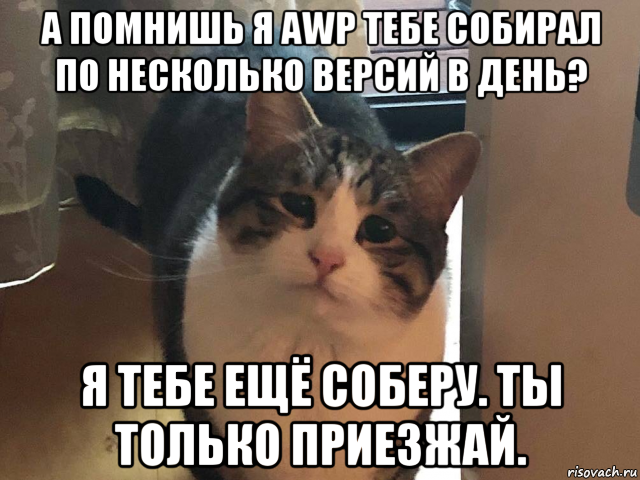 а помнишь я awp тебе собирал по несколько версий в день? я тебе ещё соберу. ты только приезжай., Мем Ты только приезжай хоть иногда