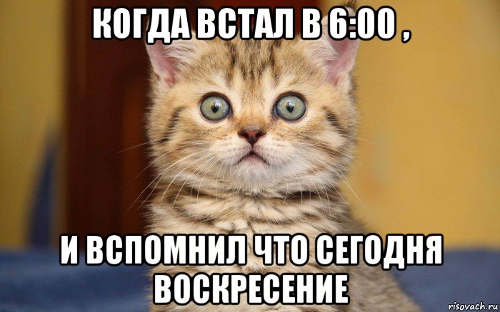 когда встал в 6:00 , и вспомнил что сегодня воскресение, Мем  удивление