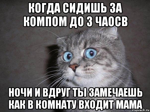 когда сидишь за компом до 3 чаосв ночи и вдруг ты замечаешь как в комнату входит мама, Мем  удивлённый кот