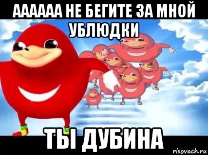 аааааа не бегите за мной ублюдки ты дубина, Мем Уганда наклз