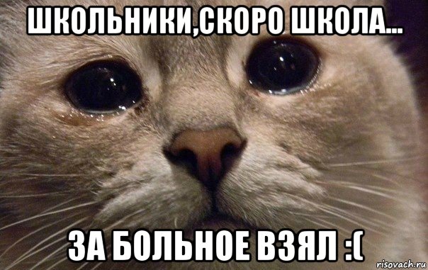 школьники,скоро школа... за больное взял :(, Мем   В мире грустит один котик