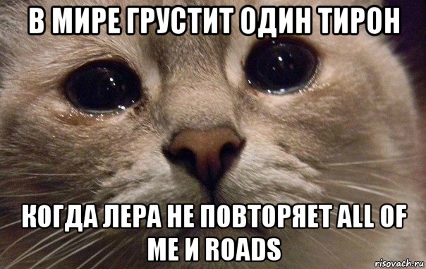 в мире грустит один тирон когда лера не повторяет all of me и roads, Мем   В мире грустит один котик