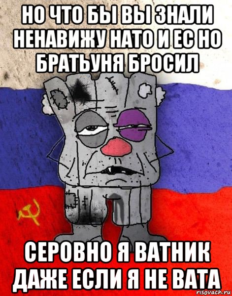 но что бы вы знали ненавижу нато и ес но братьуня бросил серовно я ватник даже если я не вата