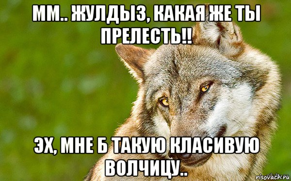 мм.. жулдыз, какая же ты прелесть!! эх, мне б такую класивую волчицу.., Мем   Volf