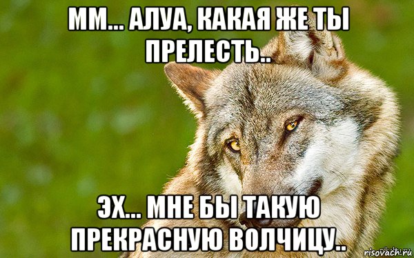 мм... алуа, какая же ты прелесть.. эх... мне бы такую прекрасную волчицу.., Мем   Volf