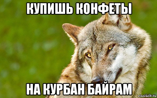 купишь конфеты на курбан байрам, Мем   Volf