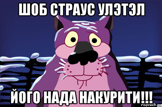 шоб страус улэтэл його нада накурити!!!