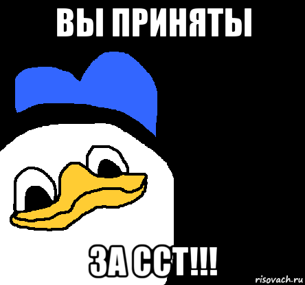 вы приняты за сст!!!