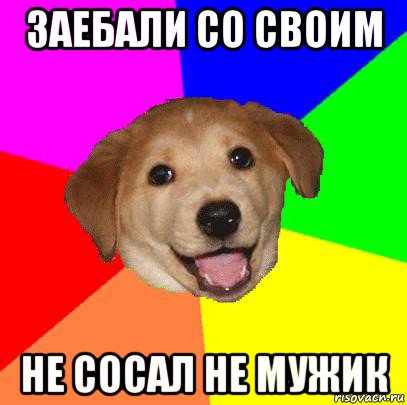 заебали со своим не сосал не мужик, Мем Advice Dog