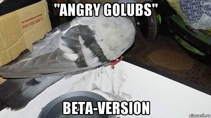 "angry golubs" beta-version