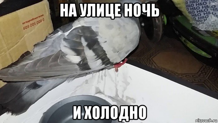 на улице ночь и холодно