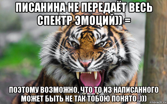 писанина не передаёт весь спектр эмоций)) = поэтому возможно, что то из написанного может быть не так тобою понято..))), Мем ДЕРЗКИЙ ТИГР