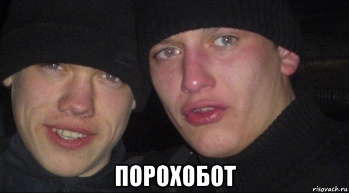  порохобот