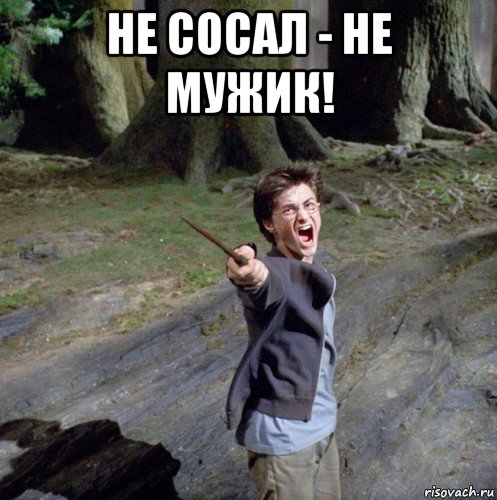 не сосал - не мужик! , Мем Гарри поттер колдует