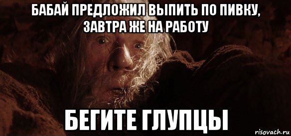 бабай предложил выпить по пивку, завтра же на работу бегите глупцы, Мем Гендальф (Бегите глупцы)