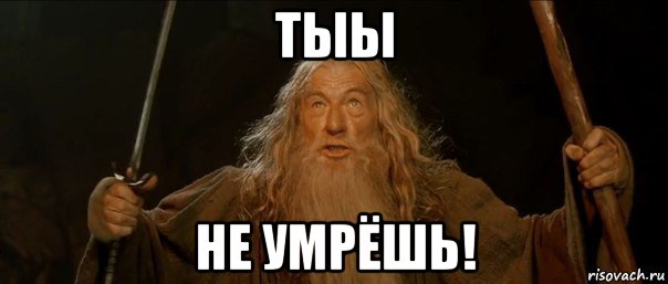 тыы не умрёшь!, Мем Гендальф (Ты не пройдешь)