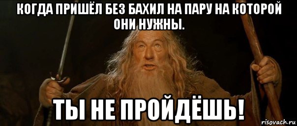 когда пришёл без бахил на пару на которой они нужны. ты не пройдёшь!, Мем Гендальф (Ты не пройдешь)