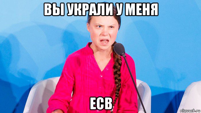 вы украли у меня есв, Мем Грета тунберг