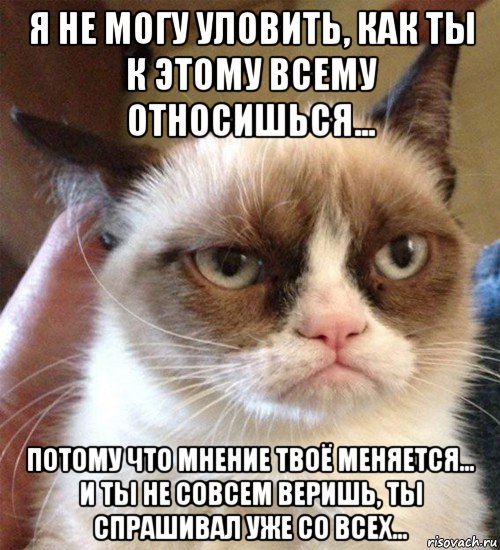 я не могу уловить, как ты к этому всему относишься... потому что мнение твоё меняется... и ты не совсем веришь, ты спрашивал уже со всех..., Мем Грустный (сварливый) кот