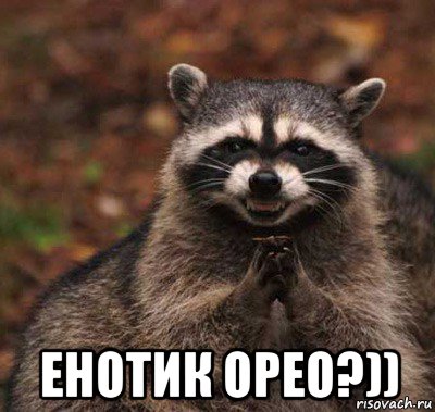  енотик орео?))