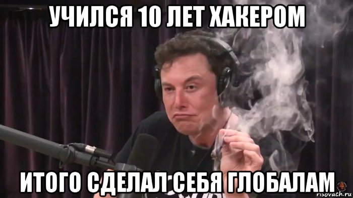 учился 10 лет хакером итого сделал себя глобалам, Мем Илон Маск