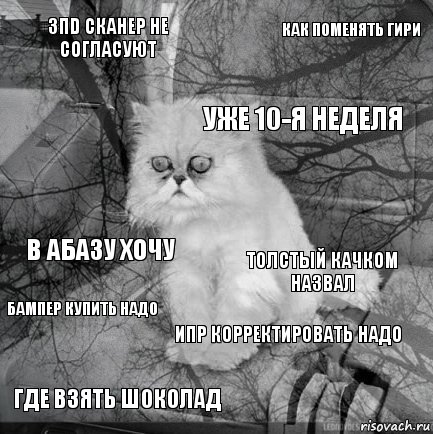 3пd сканер не согласуют Толстый качком назвал Уже 10-я неделя Где взять шоколад В Абазу хочу Как поменять гири ИПР корректировать надо  Бампер купить надо , Комикс  кот безысходность