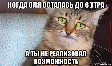 когда оля осталась до 6 утра а ты не реализовал возможность, Мем  кот печаль