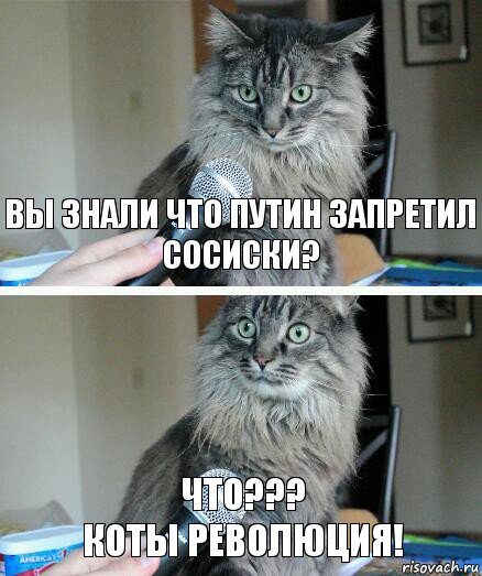 Вы знали что путин запретил сосиски? Что???
Коты революция!, Комикс  кот с микрофоном