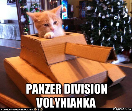  panzer division volynianka, Мем Котэ танкист