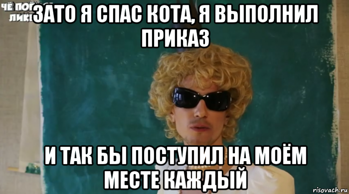 зато я спас кота, я выполнил приказ и так бы поступил на моём месте каждый, Мем Крутой блондин